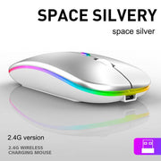 2.4G luminous version silver