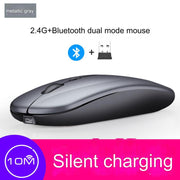 Bluetooth dual mode gray