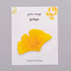 Ginkgo Leaf (Pack of 1)