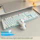 [Silent 2-piece set] Silver-white-blue light + silent mouse (Pack of 5)