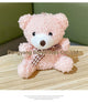 Soft Pink Bear