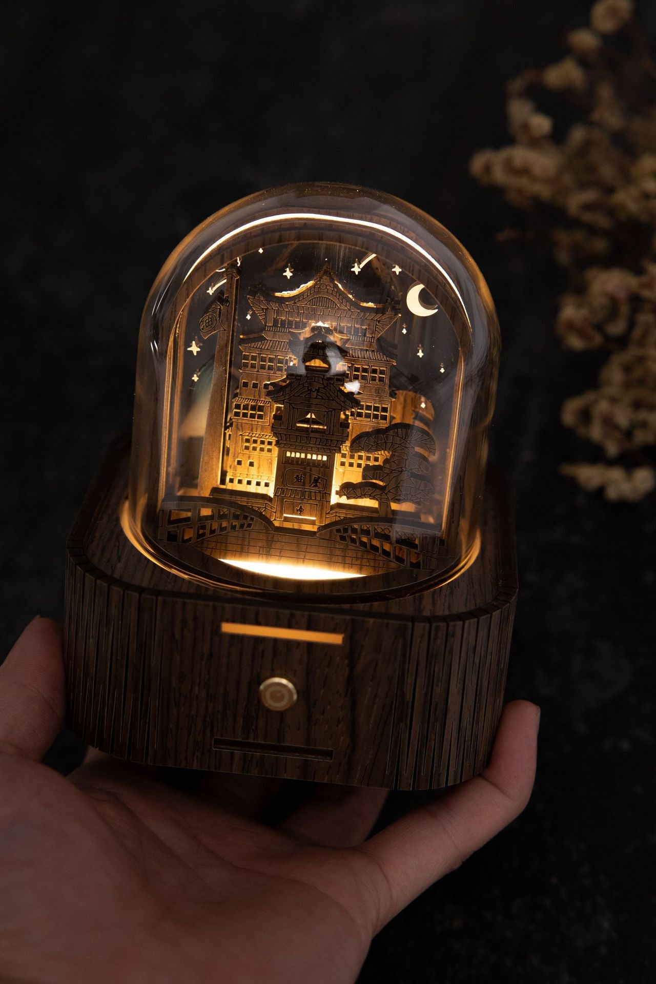 Artistic backlit view of Hogwarts night light music box