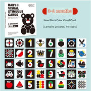 Set 6: New Edition 3-6 Months Black and White Visual Cards (Pack of 1)