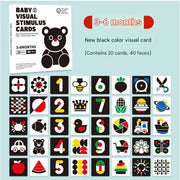 Package 6: New Edition 3-6 Months Black and White Visual Cards (Pack of 1)