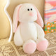 Little White Rabbit (Pack of 2)