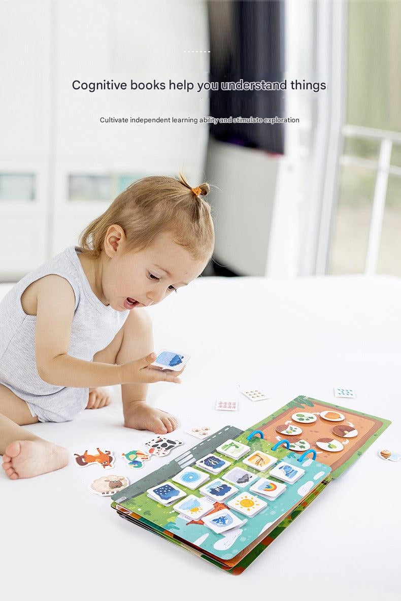 cognitive development toy