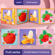 Set 2: Level 1 Fruit Series (Pack of 1)