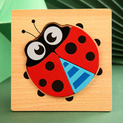 Ladybug 9 (Pack of 1)