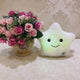 Little Star White (24cm*22cm)