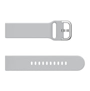 Gray (silver buckle)