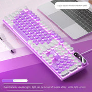 Purple and White - White Light Punk Edition (Pack of 2)