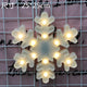 雪花（25*25cm）A (Pack of 1)