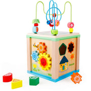 Intelligence Box with Bead Maze (Pack of 1)